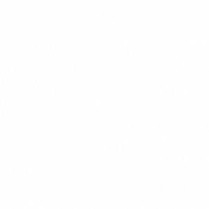 Meet your Posher, Noah